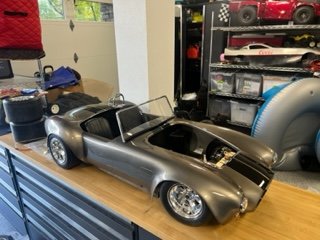 COBRA PROJECT 1.jpg