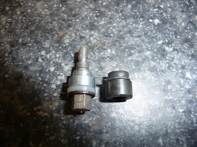 P1020206.jpg