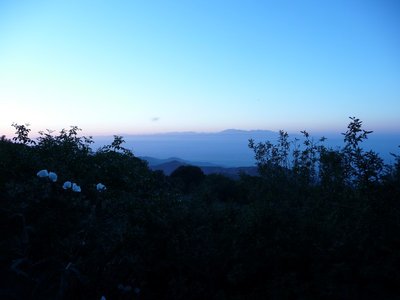 P1070071.jpg