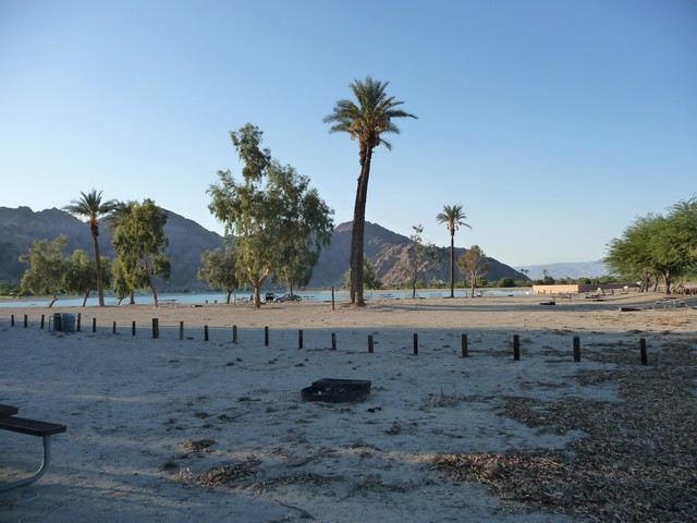 P1020315.jpg