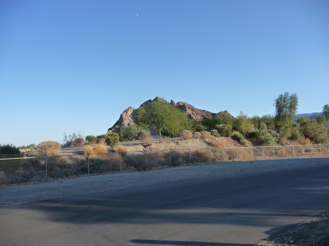 P1020326.jpg