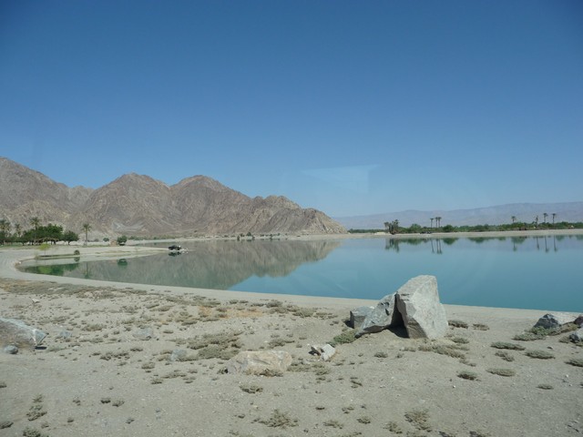 P1020334.jpg
