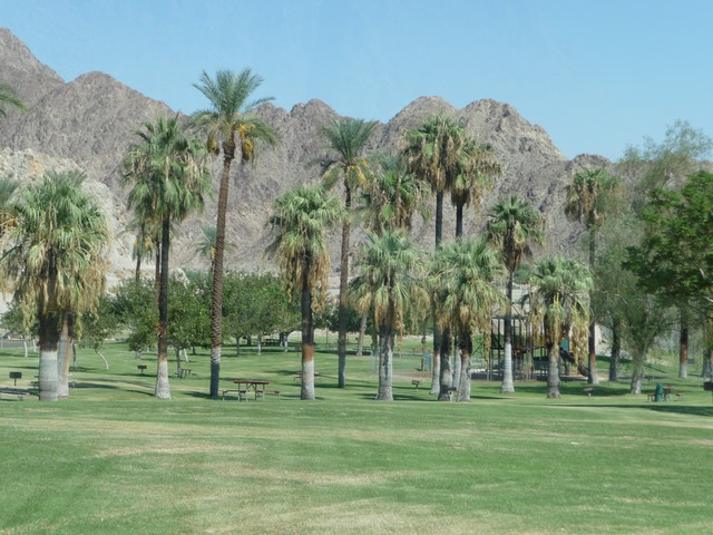 P1020342.jpg